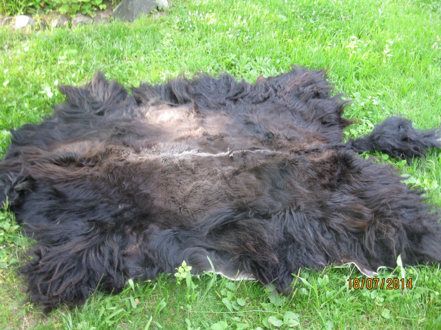 Yak Hide Tanned