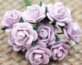 Enchanted  Passion  Series  - Miniature Roses-Shabby Purple