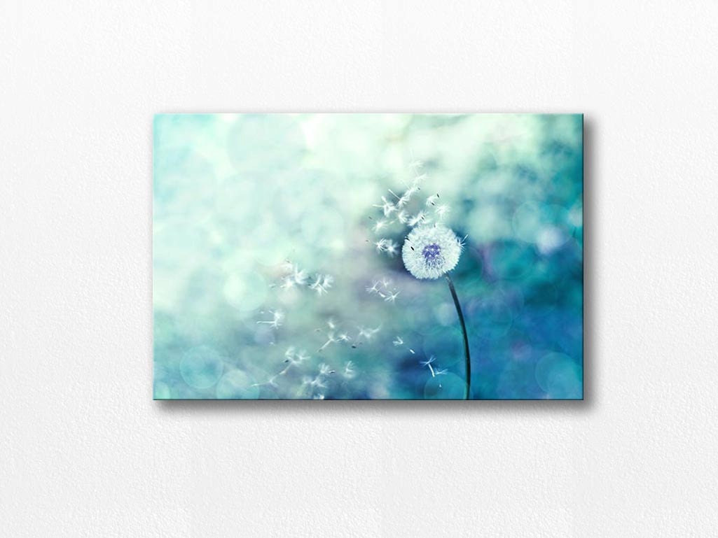 large art canvas wall art dandelion canvas art dandelion