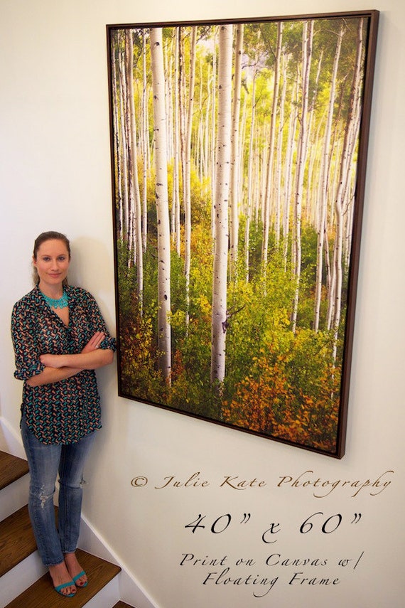  40  x  60  Print On Canvas  Colorado Aspen by JulieKatePhotography