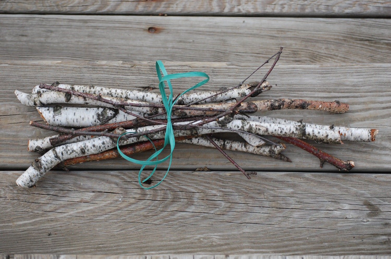 Birch Branches Birch Limbs White Birch Tree Branches Birch