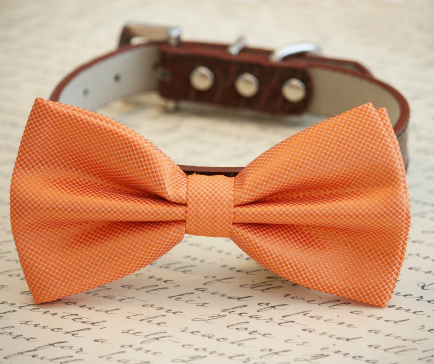 Orange Dog Bow tie Pet Wedding Accessory Orange bow tie