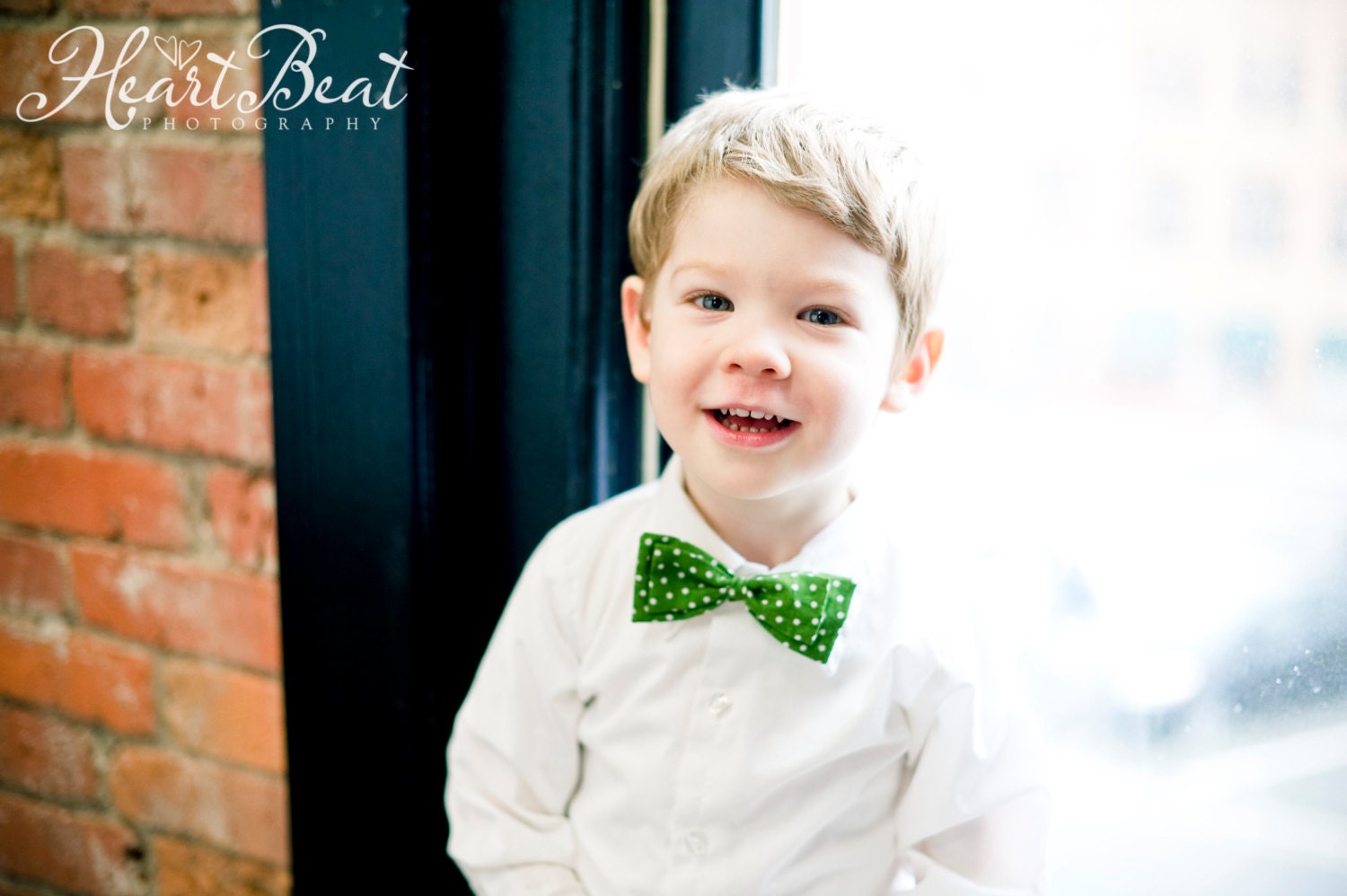 Polka Dot Collection Baby Boy Bow Tie Baby Boy Tie Baby