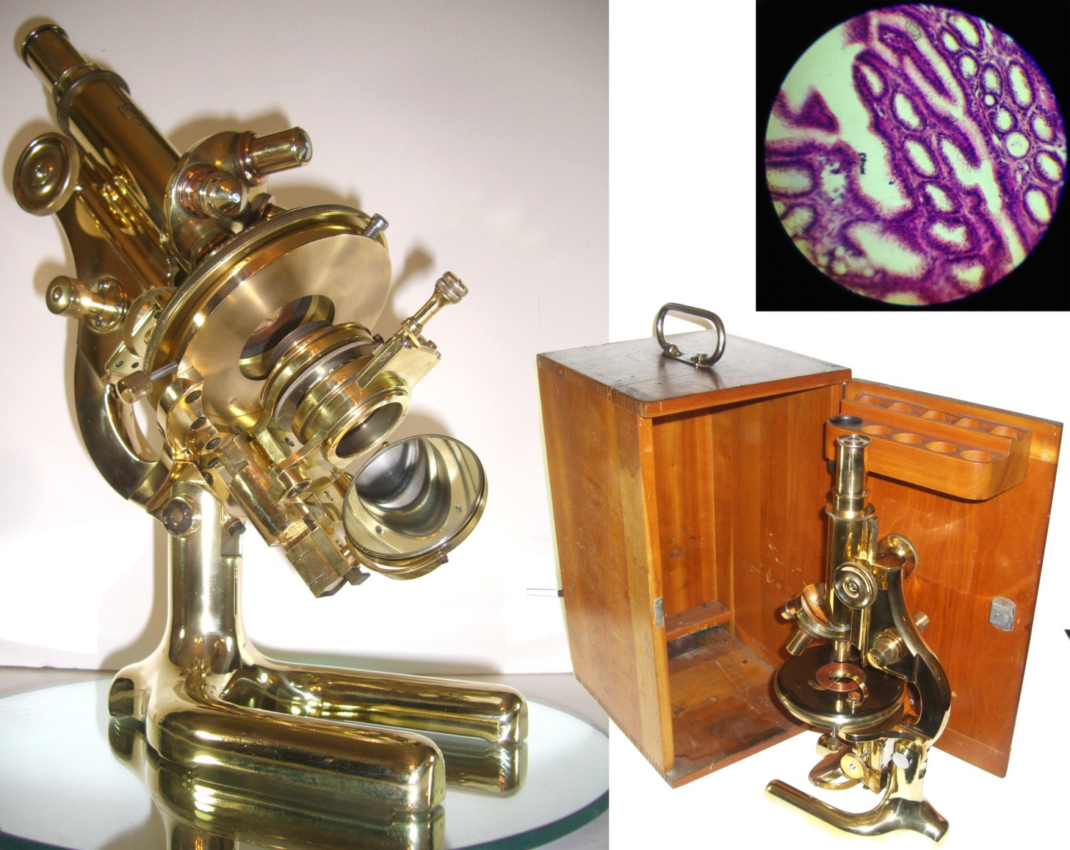 1925 Carl Zeiss Antique Microscope With Case Jena Vintage Old