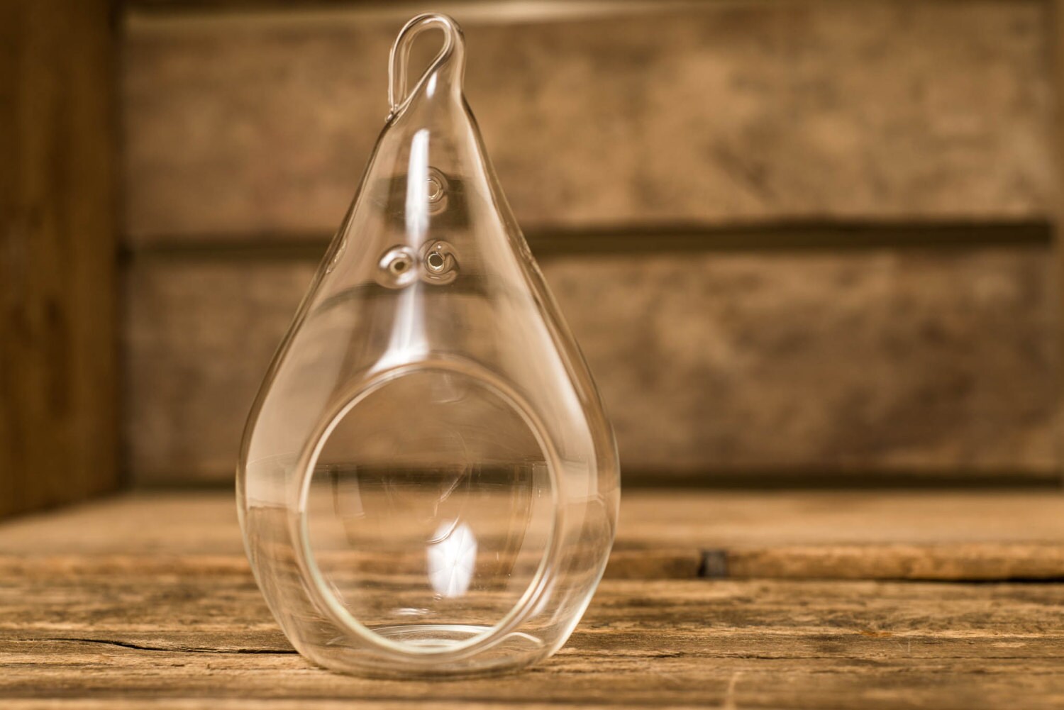 Glass Hanging Teardrop Plant Terrarium Votive by HinterlandTrading