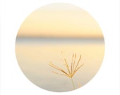 LIMITED EDITION Circle Photo, Sunset Photography, Landscape Photography, Ocean Photography, Sea, Grass, Open Edition 8 x 8 Square Photo