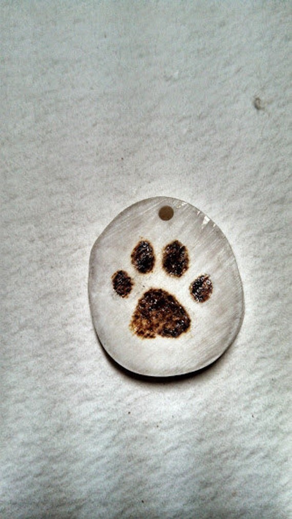 HandBurned Cat Paw Print Antler Slice by JustineDillenbeck