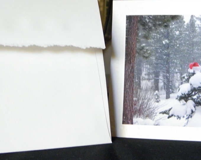 HOLIDAY THANK YOU Greeting Card, Free Shipping, Blank Inside Photo Stationary, Embossed Card Stock, Coordinating Envelope