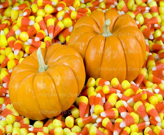 Pumpkins and Candy Corn Halloween Edible Cake and Cupcake