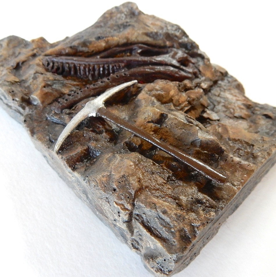 velociraptor fossil for sale
