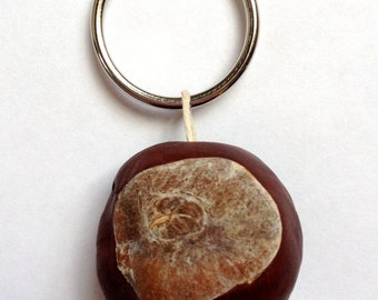 Lucky Buckeye Keychain; Ohio State Buckeyes