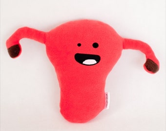 stuffed kidney