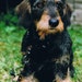 rockyridgeexpression