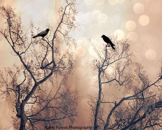 Nature Photography, Surreal Trees Birds Ravens Crows, Gothic Fantasy Nature Trees, Spooky Haunting Eerie Ethereal Nature Ravens Photography