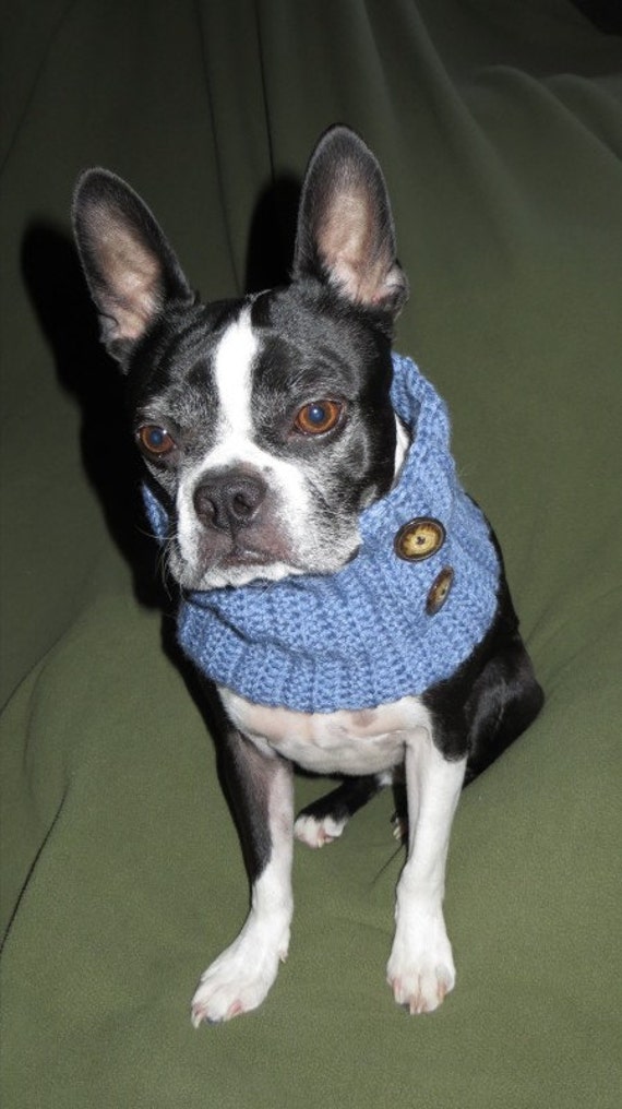 Items similar to Crochet Dog Neck Warmer/Scarf on Etsy