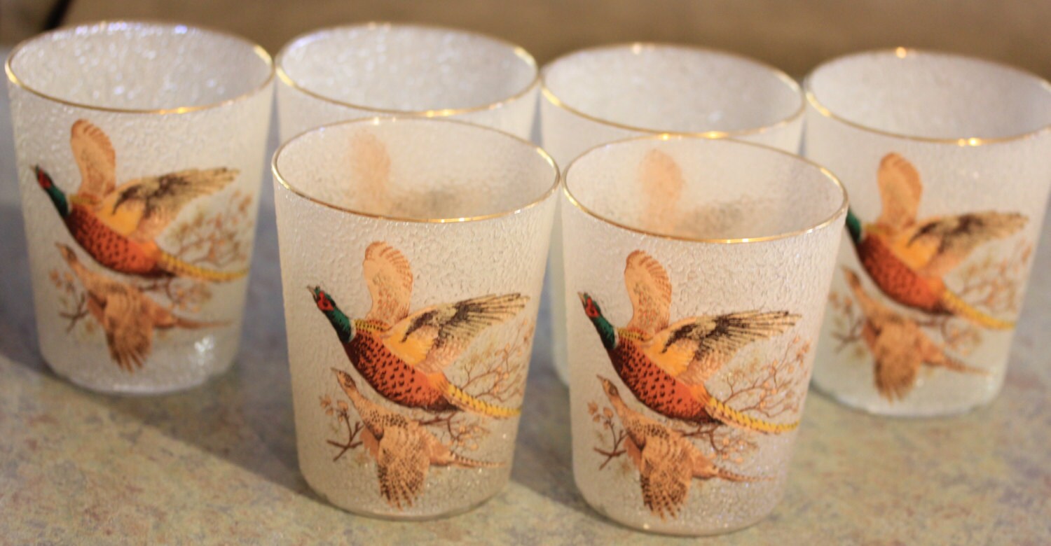 6 Pheasant Double Old Fashioned Glasses Applied Texture