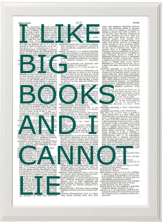 items-similar-to-i-like-big-books-and-i-cannot-lie-dictionary-page