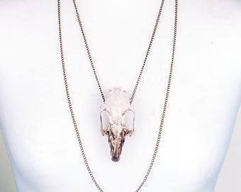 REAL Animal skull necklace - bone and gold ascending colour hand painted taxidermy real rabbit skull with bronze plated chain
