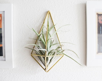 The Original Wall Sconce | Brass Air Plant Holder, Modern Minimalist Geometric Ornament