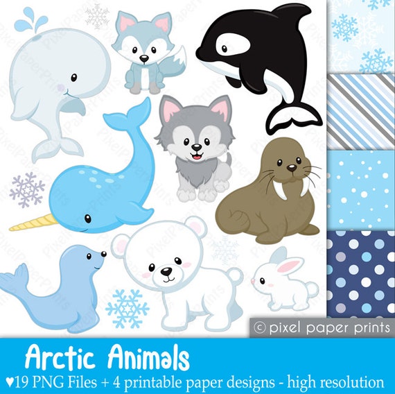 Arctic animals Clipart and paper set