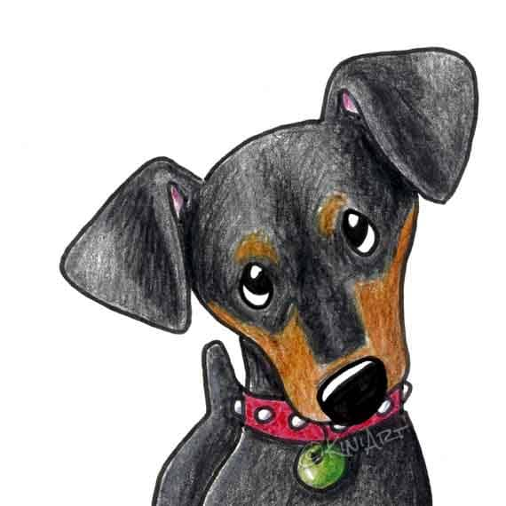 Arte ORIGINAL de perro Pinscher mini dibujo enmarañado por KiniArt