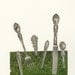 Eat your greens. Original collage by Vivienne Strauss.