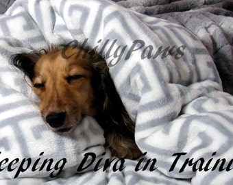 Greek Key - Snuggle Sack - Bed for Dogs - Dove Gray - 23" x 26"Includes Embroidered Personalization