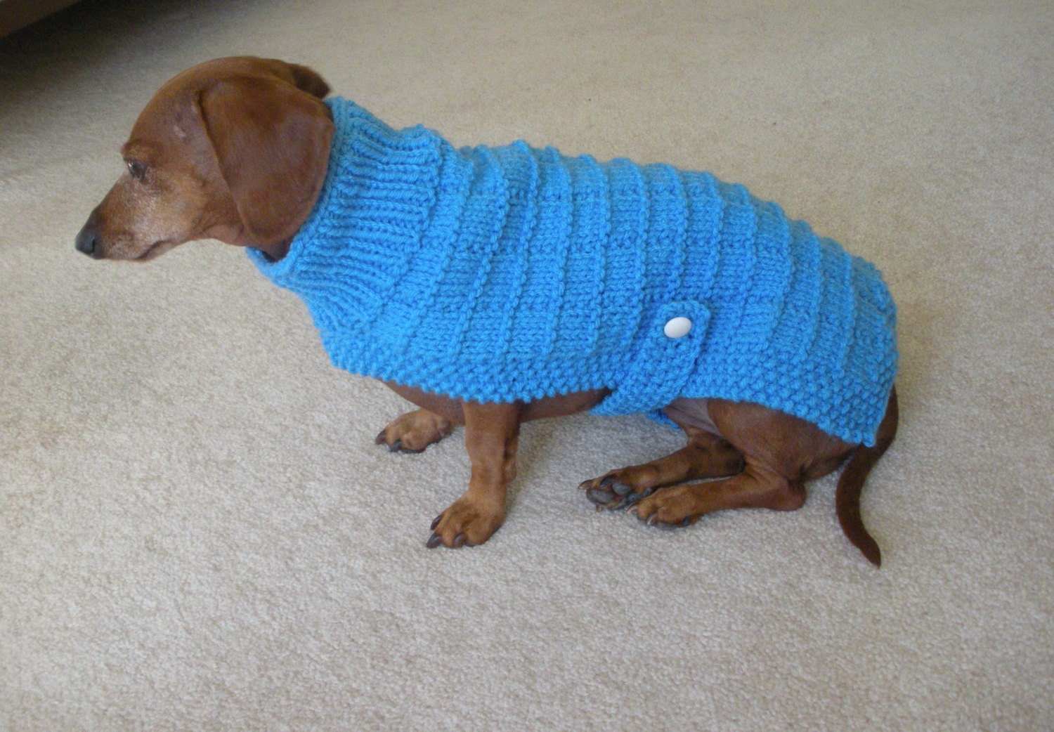 Sweater Pattern for Mini Dachshunds Doxie Dachshund Knitted