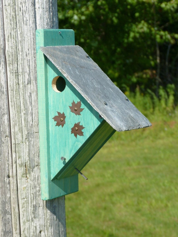 Nuthatch Birdhouse Nest Box Bird House Nestbox by OutOnALimbADK