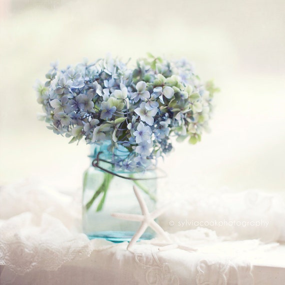 hydrangea photographshabby chic decor fine art printpastel hydrangea photographshabby chic decor fine art printpastel