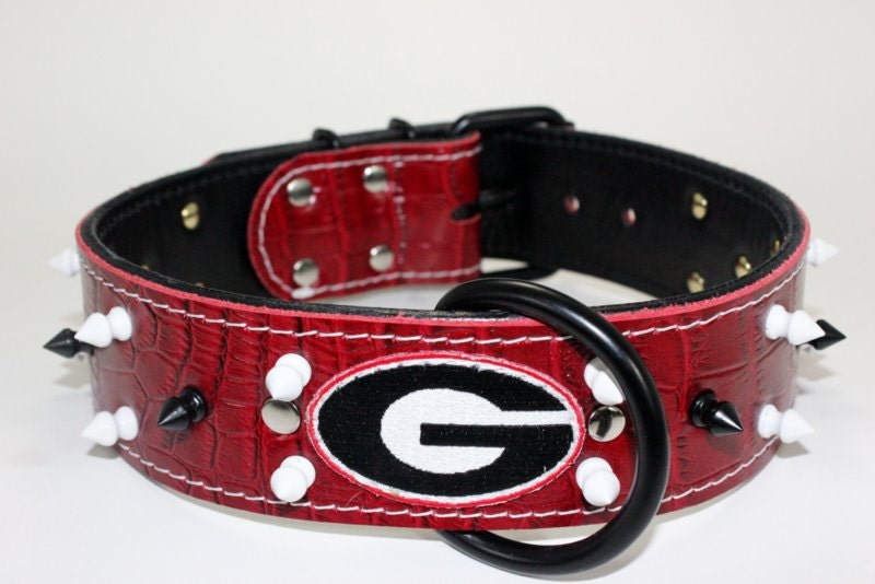 2 Bulldogs Spiked Leather Dog Collar Bulldogs