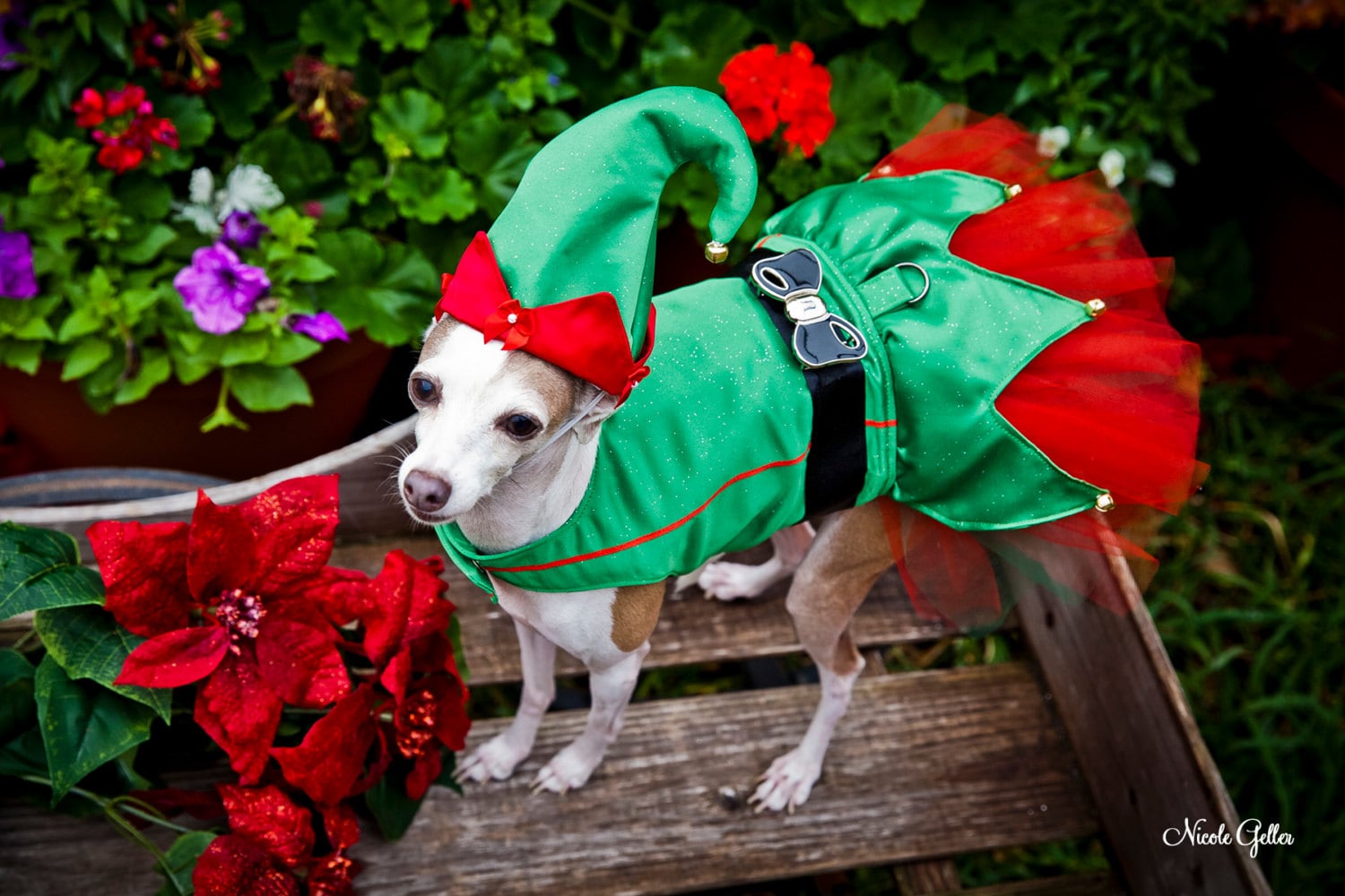 Dog Dress Costume Elf Christmas Harness Tutu Dress