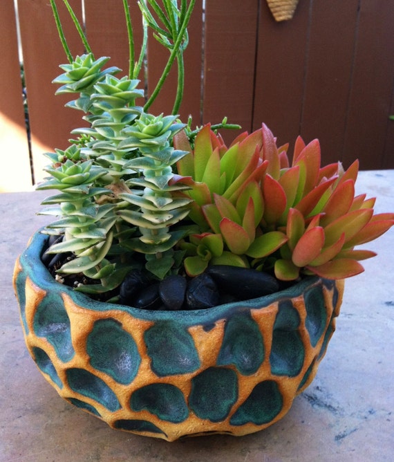 Hand Built Ceramic Planter