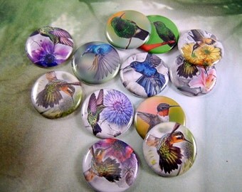 hummingbird favors etsy hummingbird favors etsy