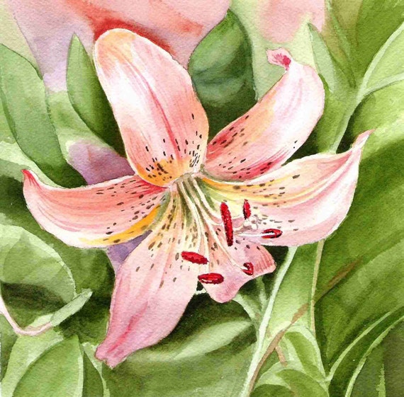 Items similar to Pink Lily Painting 8 x 8 Print Free Shipping US on Etsy