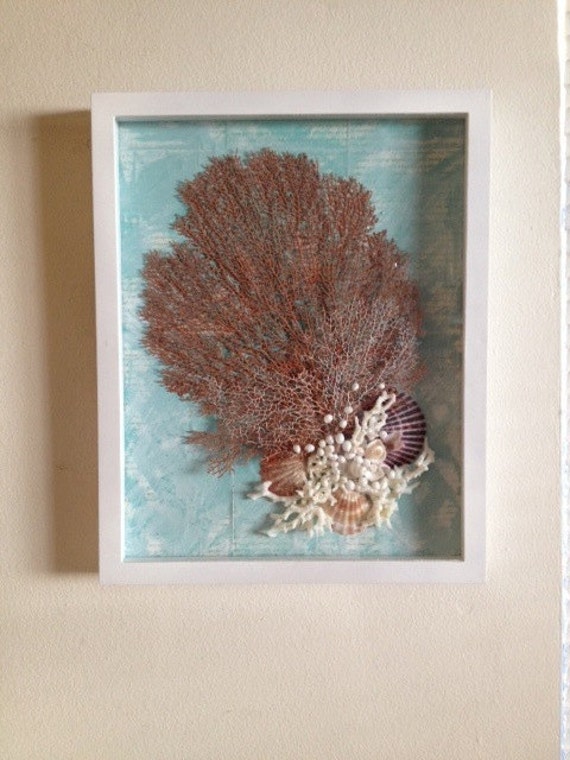 Items similar to White and Aqua Shadow box with Red and White Sea fan