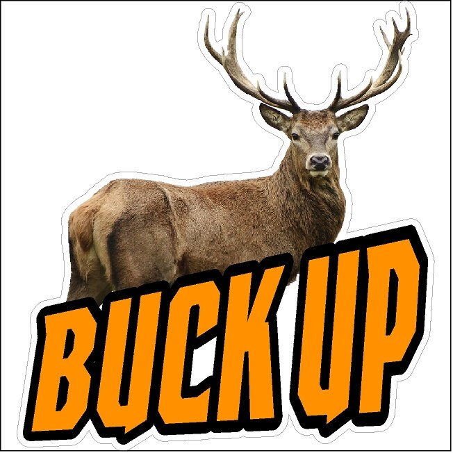 Buck Up Hunter Decal Funny Hunting Sticker