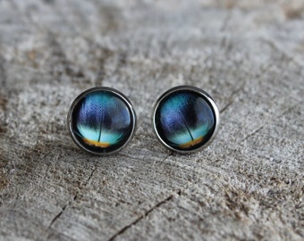 Petites merveilles plume de paon // Cute glass cabochon peacock feather (BO-772)