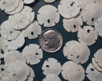 100 Mini Tiny Sand Dollars White 1/2" to 3/4" inch arrowhead Sand Dollars beach coastal Weddings,Crafts Supplies,wreath,jewelry