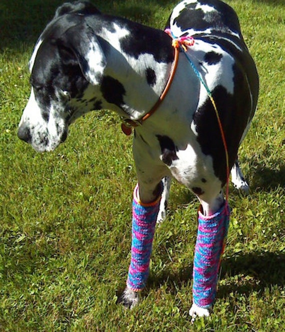 Dog Leg Warmers by "Peg's Legs Handknit Dancewear"