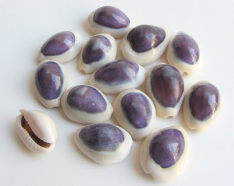 Popular items for shells for sale on Etsy