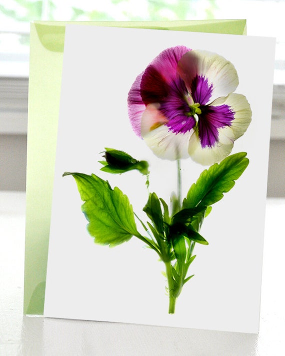 Greeting Card Note Card Pansy Pirouette Dance Flower Purple hand made