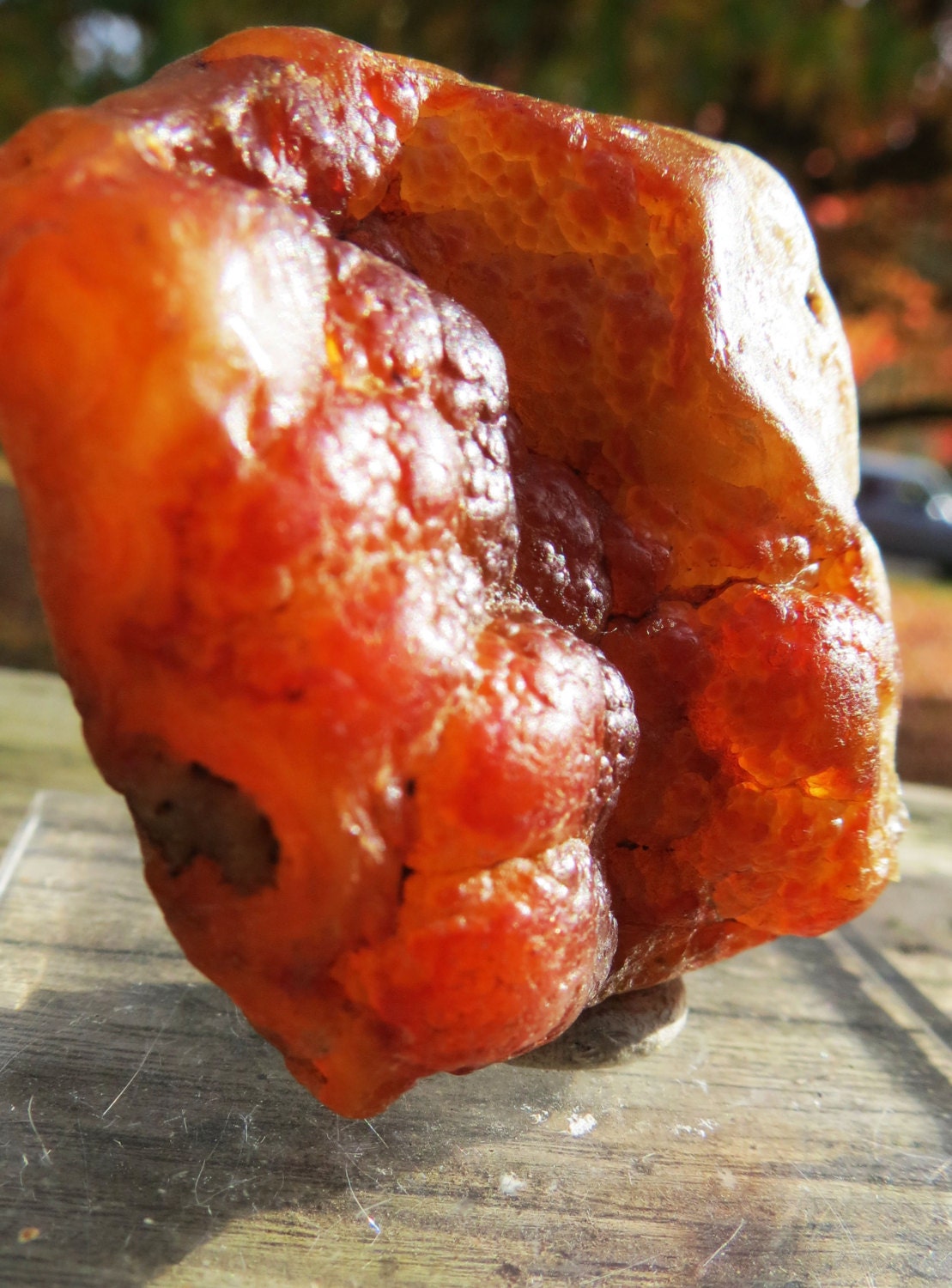 Sale Raw Carnelian Botryoidal Specimen Oregon Agate Carnelian