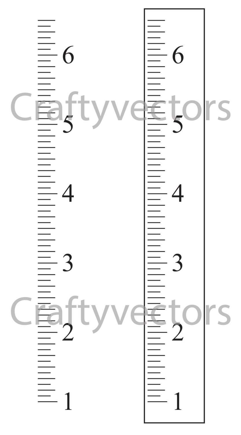 ruler growth chart vector template inches