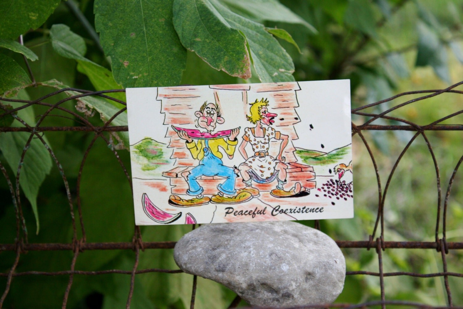 1960's Traverse City Postcard Humorous Summer