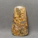 REGENCY PLUME Agate Cabochon