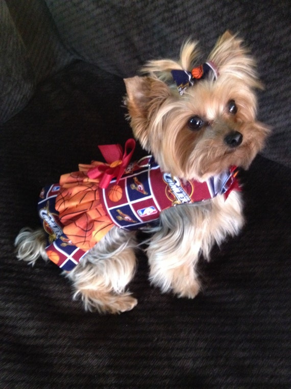 Items similar to Cleveland Cavalier Harness Dress on Etsy