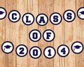 Graduation Banner - Class of 2014 Banner - Custom School Colors - Printable PDF Il_170x135