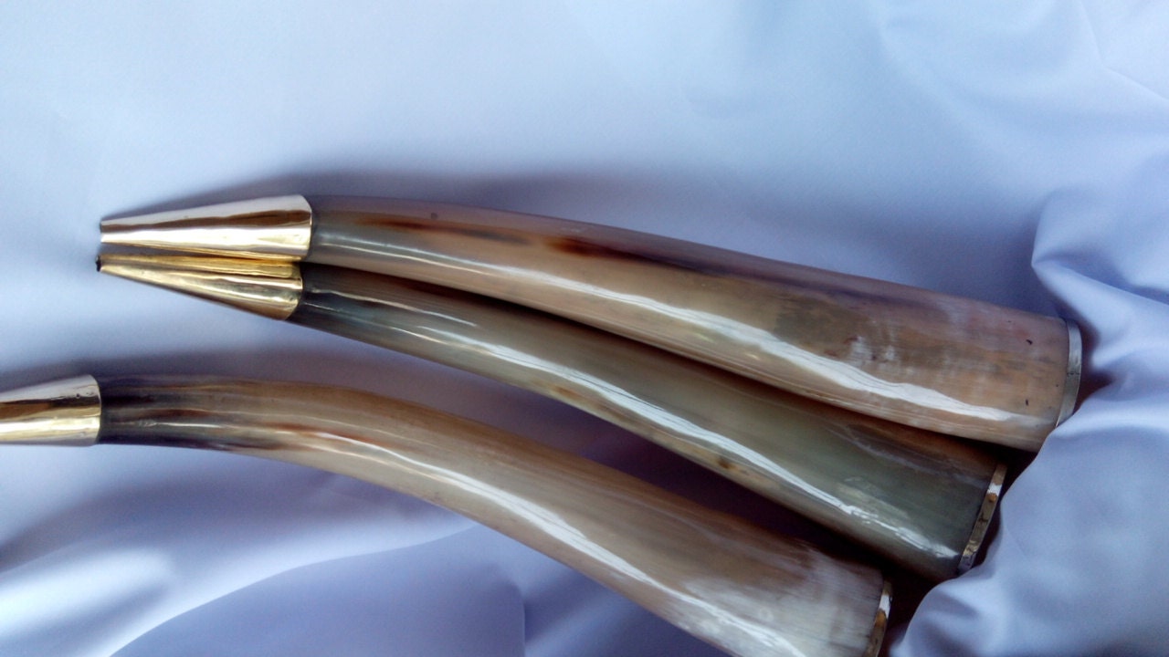 Amazing Laaaaarge Horn Bugle / Bigul blowing horn by AmazingPoint