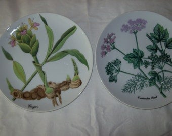 Horchow collector plates , six different plates showing herbs, beautiful detail